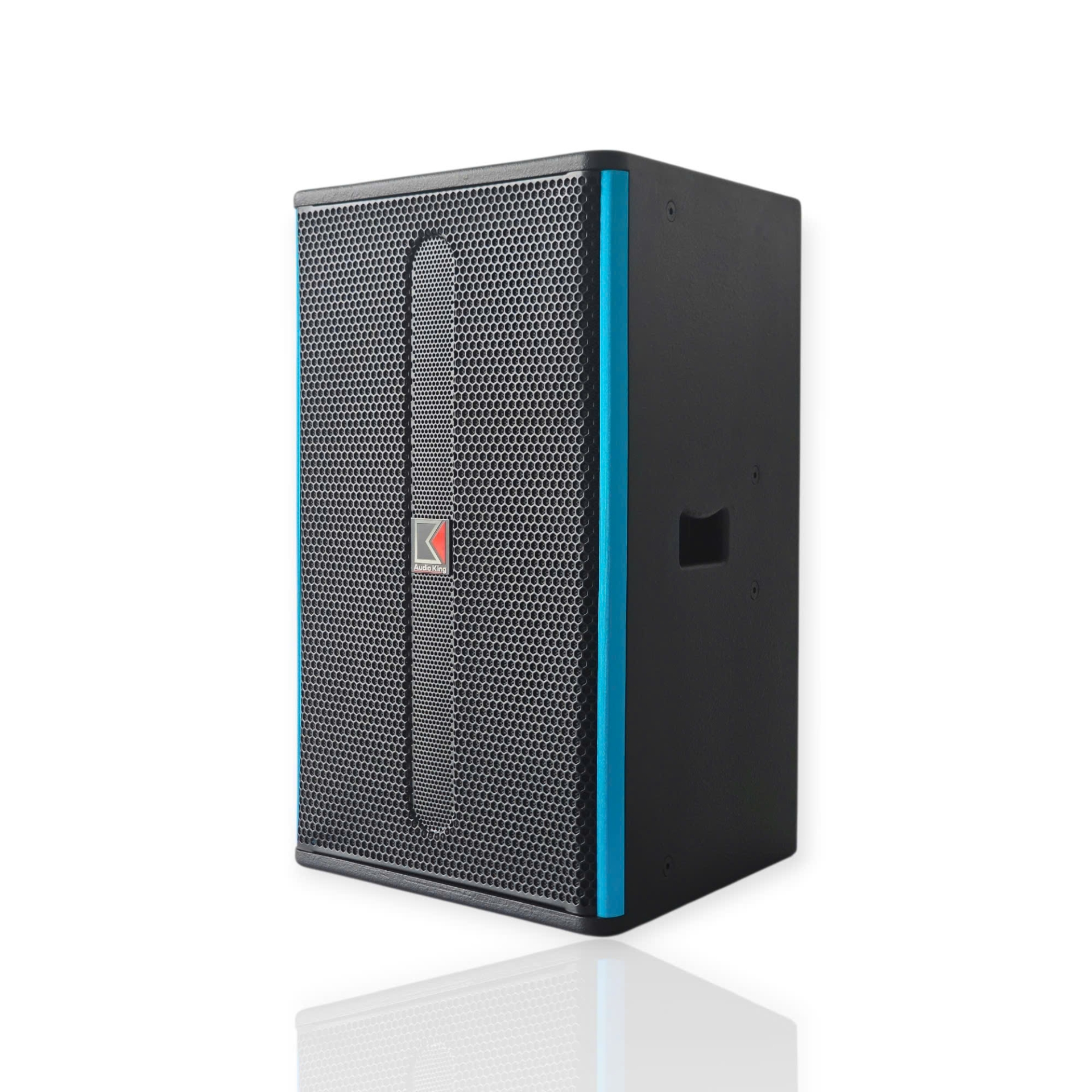 FULL-RANGE AUDIOKING Q-12